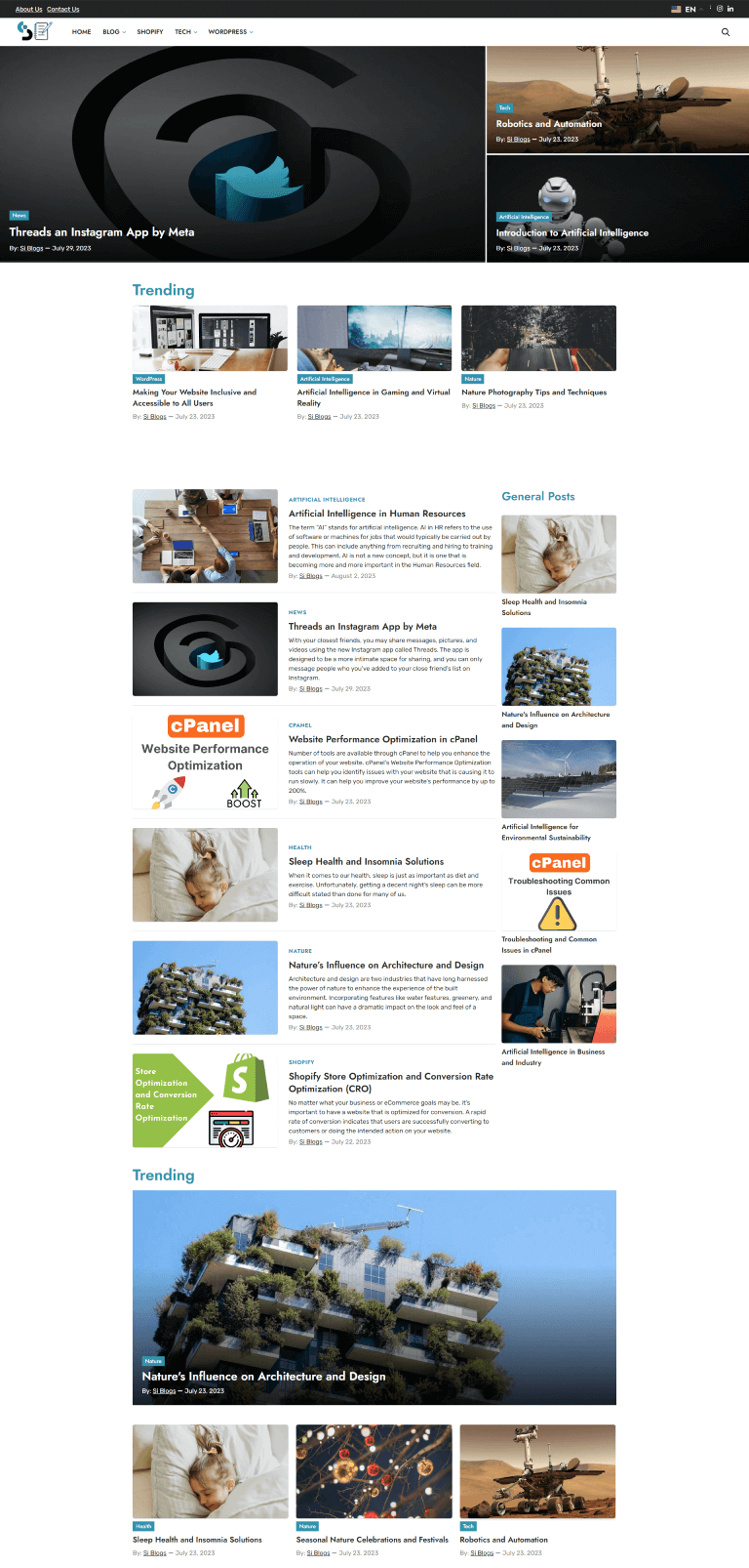 Professional Blog - Theme